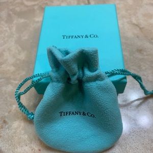 Tiffany & Vo searing box and suede bag